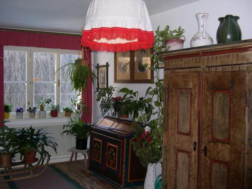 Galería fotográfica de Bauernhof Plachl en Lassing