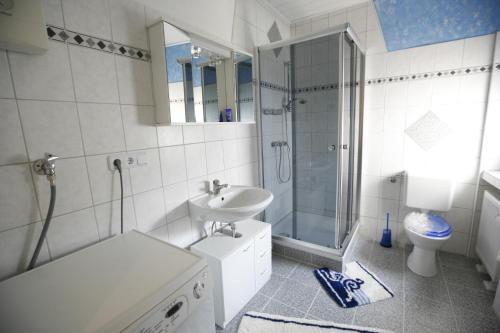 a bathroom with a shower and a sink and a toilet at Ferienwohnung Pretz in Braubach