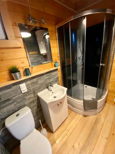 a bathroom with a toilet and a sink and a shower at Przystanek Wyspa in Gdańsk