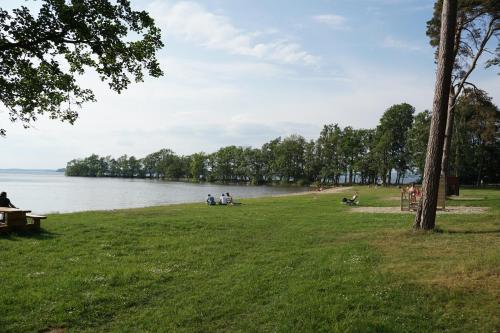 a park with people sitting on a bench next to a lake at Bromölla Camping o Vandrarhem in Bromölla