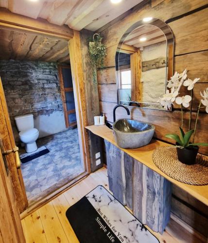 a bathroom with a sink and a toilet in a room at Suure-Jürna Puhkepesa in Kahutsi