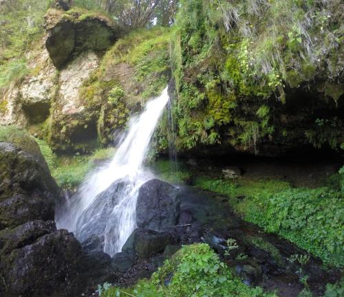 a waterfall in the middle of a forest at Domaine de l'Ours / Camping Lodge in Saint-Urcize