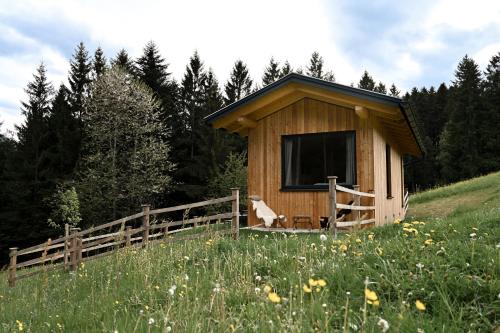 a dog is standing in front of a small house at Tiny House Urlaub in Ybbsitz