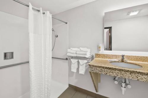 a bathroom with a sink and a shower at Comfort Suites Sanford in Sanford