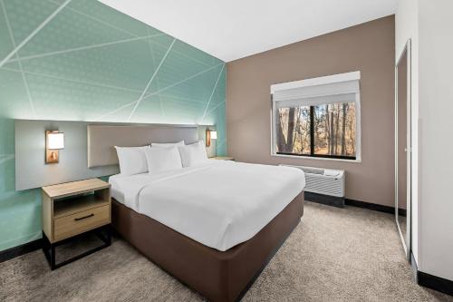 a bedroom with a large bed and a window at Comfort Suites Sanford in Sanford
