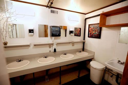 łazienka z 3 umywalkami i lustrem w obiekcie Tetsa River Lodge w mieście Tetsa River