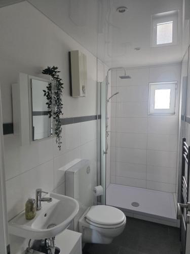 a white bathroom with a toilet and a sink at Ferienhaus Anna in Übach-Palenberg