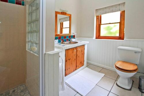 un bagno con wc, lavandino e doccia di Montagu Vines Guesthouse a Montagu