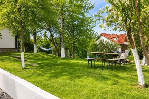 a yard with a picnic table and a hammock at Casa Bando in Moacşa