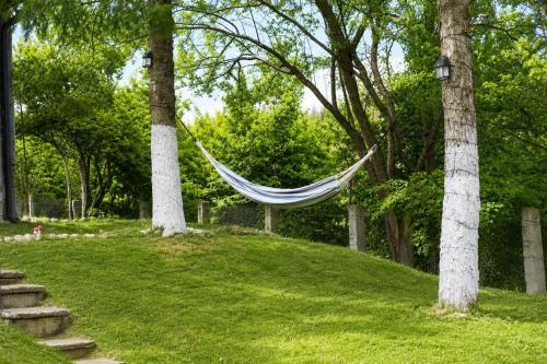a hammock hanging between two trees in a park at Casa Bando in Moacşa
