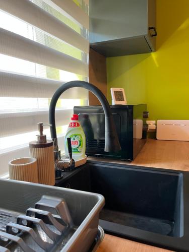 a kitchen counter with a sink and a sink at Pavasari in Cēsis