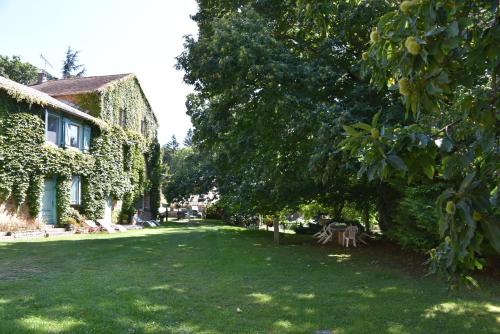 a yard with chairs and a tree and a building at Domaine de Malouziès in Fontiers-Cabardès