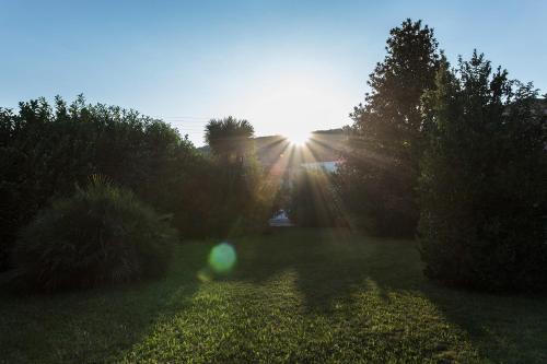 a sun shining on a yard with trees and grass at Villa Magnolia in Ioannina