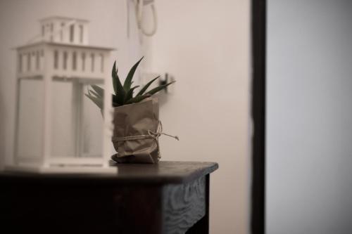 roślina w bucie siedząca na stole w obiekcie B&B Gallidoro w mieście Palermo