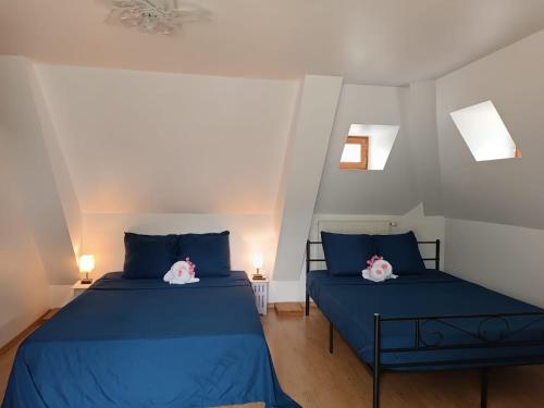 two beds in a room with blue sheets and pink pillows at Lou Castelou Pont d'Estaing in Sébrazac