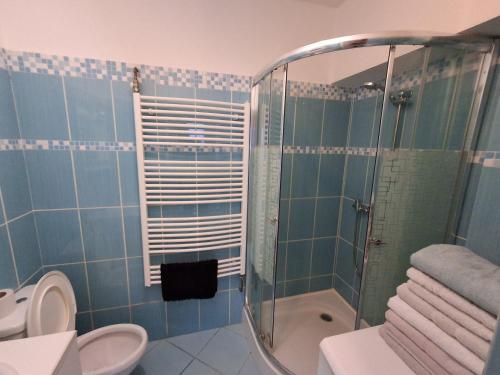 a bathroom with a shower and a toilet and a sink at Žamberk-apartmán líšnice in Žamberk