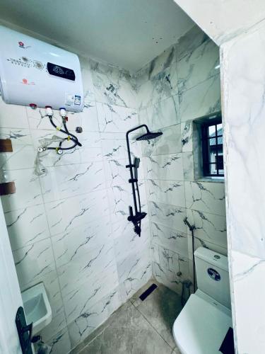 a white bathroom with a toilet and a shower at Akrafthaus by KAVKANZ in Abuja