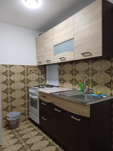 a kitchen with a sink and a stove top oven at Čapljina Rooms in Čapljina