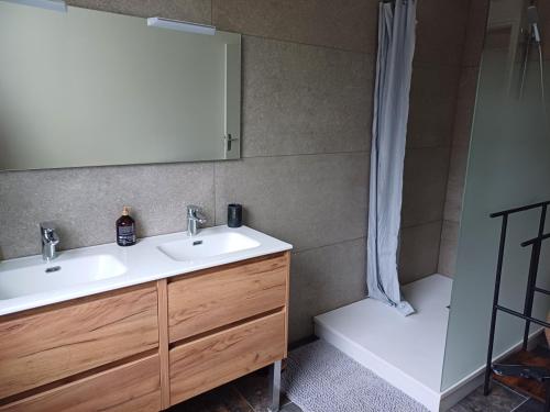 a bathroom with a sink and a mirror and a shower at Le reflet de la cathédrale in Saint-Omer