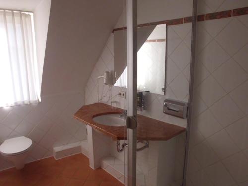 a bathroom with a sink and a toilet at Hotel Freihof in Wiesloch