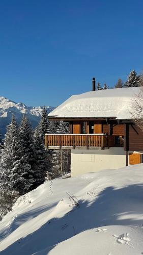 a house in the snow with snow covered trees at Chalet UVA in Bettmeralp