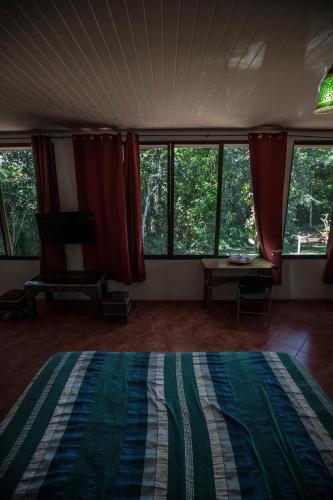 a bedroom with a bed and large windows at Blanconejo de Montezuma in Montezuma