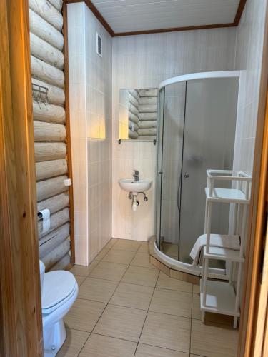a bathroom with a shower and a toilet and a sink at Karolio Sodyba Palūšėje in Palūšė