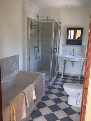 a bathroom with a tub and a toilet and a sink at Le Manoir Monlezun in Monlezun
