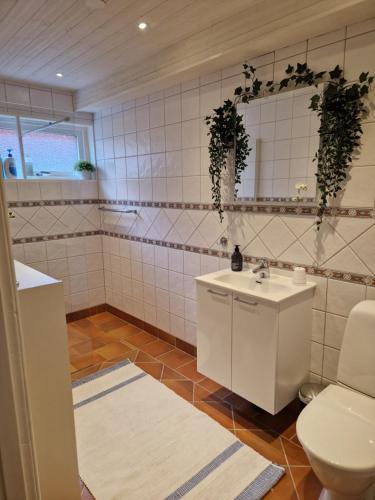 a bathroom with a toilet and a sink at Skärgårdsidyll på Björkö med gångavstånd till havet in Skarvik