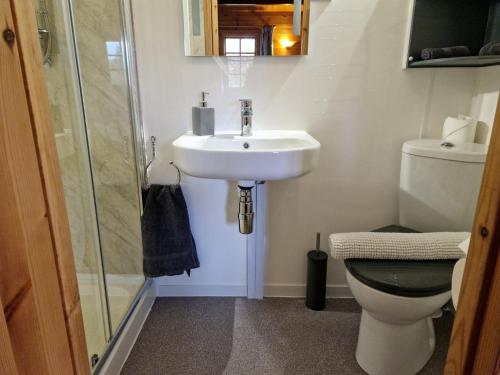 a bathroom with a sink and a toilet and a shower at Polgwedhen Lodge in Truro