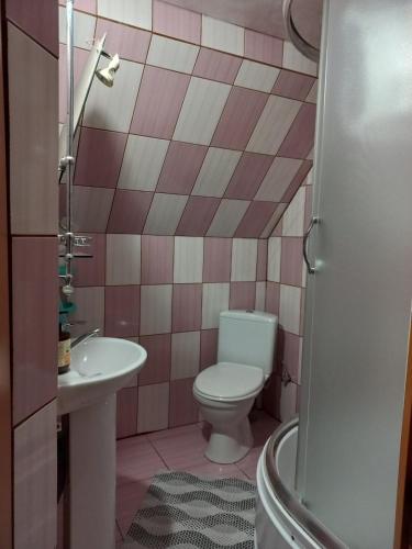 a bathroom with a toilet and a sink at Yaremche Potik Guest House in Yaremche