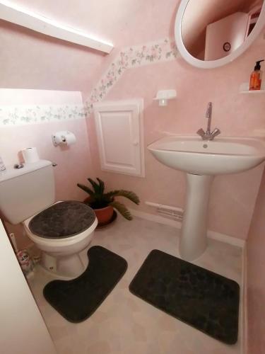 a bathroom with a sink and a toilet and a mirror at chambres d hôtes chez Isabelle in La Ferté-Saint-Cyr