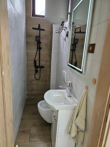 a small bathroom with a sink and a toilet at Studio centar Lazic 1 in Šid