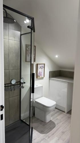 a bathroom with a white toilet and a shower at The Loft in Gwys Station