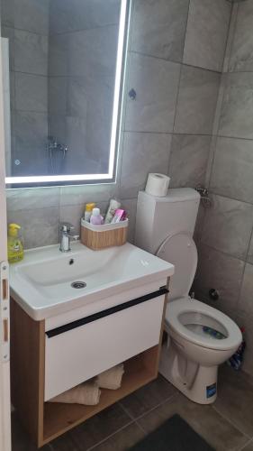 a bathroom with a toilet and a sink and a mirror at Apartman Milica 1 in Doboj