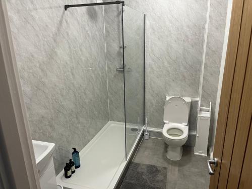 a bathroom with a toilet and a glass shower at Beamish Lodge in Stanley