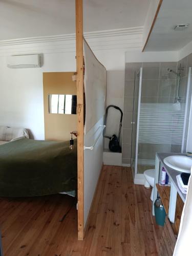 a bedroom with a bed and a bathroom with a sink at La Dolce Vita Studio indépendant avec terrasse in Vals-les-Bains