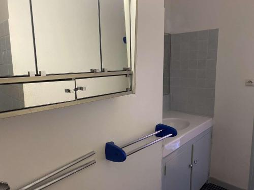 Appt 2 pièces cabine PORT CAMARGUE PC440-210