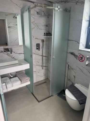 a bathroom with a shower and a toilet at Villa Roza in Kallithea Halkidikis