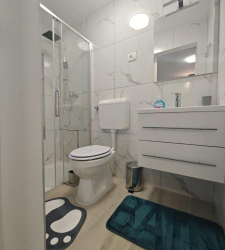 a bathroom with a toilet and a shower and a rug at Sobe - Rooms NININ in Deskle
