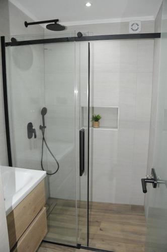 a shower with a glass door in a bathroom at Villa Lapis in Mostar