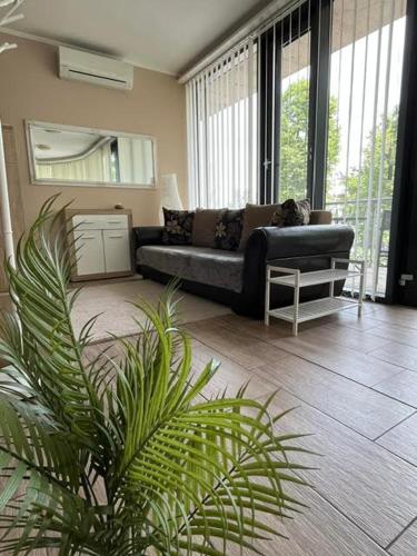 Móló Apartman