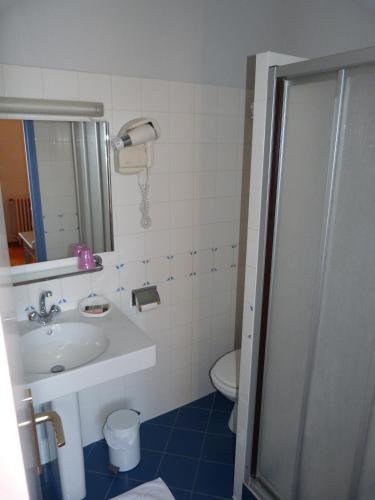 une salle de bain avec un lavabo et des toilettes dans l'établissement Logis Hotel Domaine du Cheval Blanc, à Saint-Boil