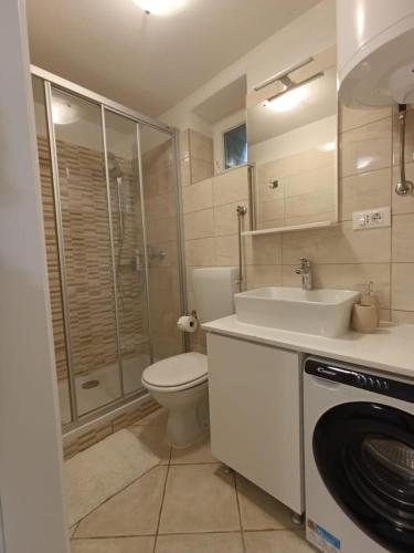 a bathroom with a toilet sink and a washing machine at Apartment Filipas in Cres