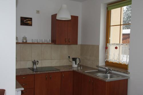 eine Küche mit Holzschränken, einem Waschbecken und einem Fenster in der Unterkunft Apartament DOMINO in Karpacz