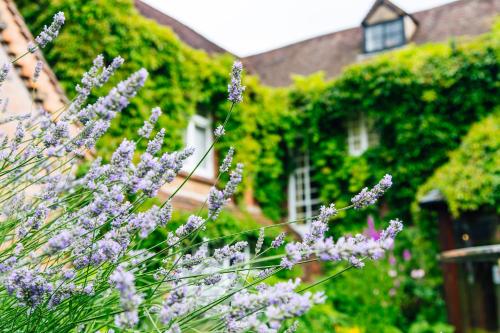 Old Rectory House, Redditchにある庭