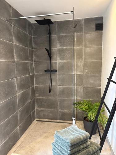 a shower with a glass door with a towel and a shower at Chez Firmin in Manhay