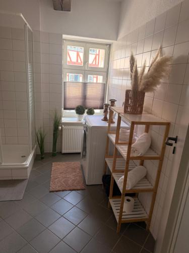 a bathroom with a shower and a toilet and a sink at Kleine-Auszeit am Dom Ferienwohnung für Gäste & Monteure in Halberstadt
