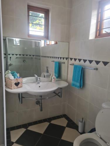 a bathroom with a sink and a toilet at Comfortable Secure Business Stay in Johannesburg