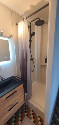 a bathroom with a shower and a sink at Gîte des pêcheurs, Gorges du Tarn in Mostuéjouls